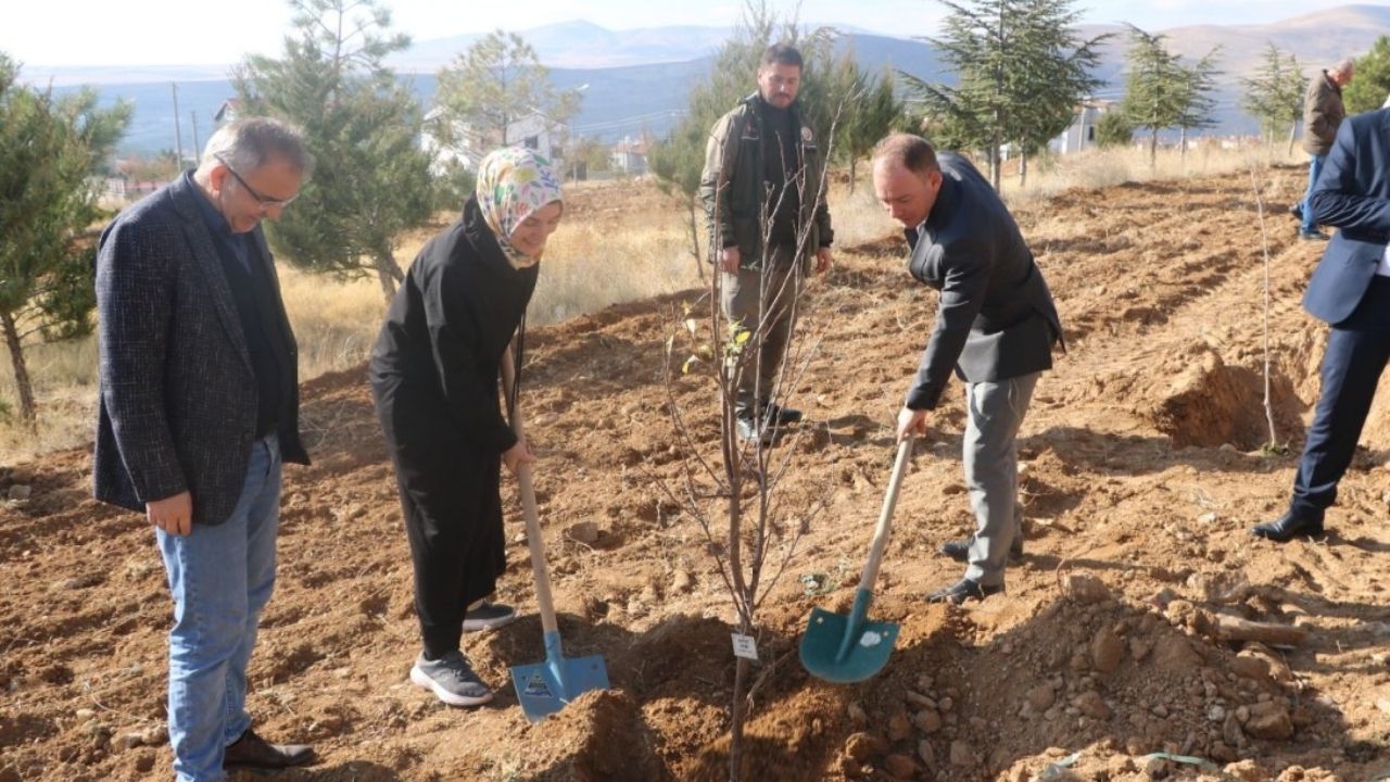 Kırşehir'de 22 Kasım'da Öğretmenler Günü Fidan Dikim Etkinliği