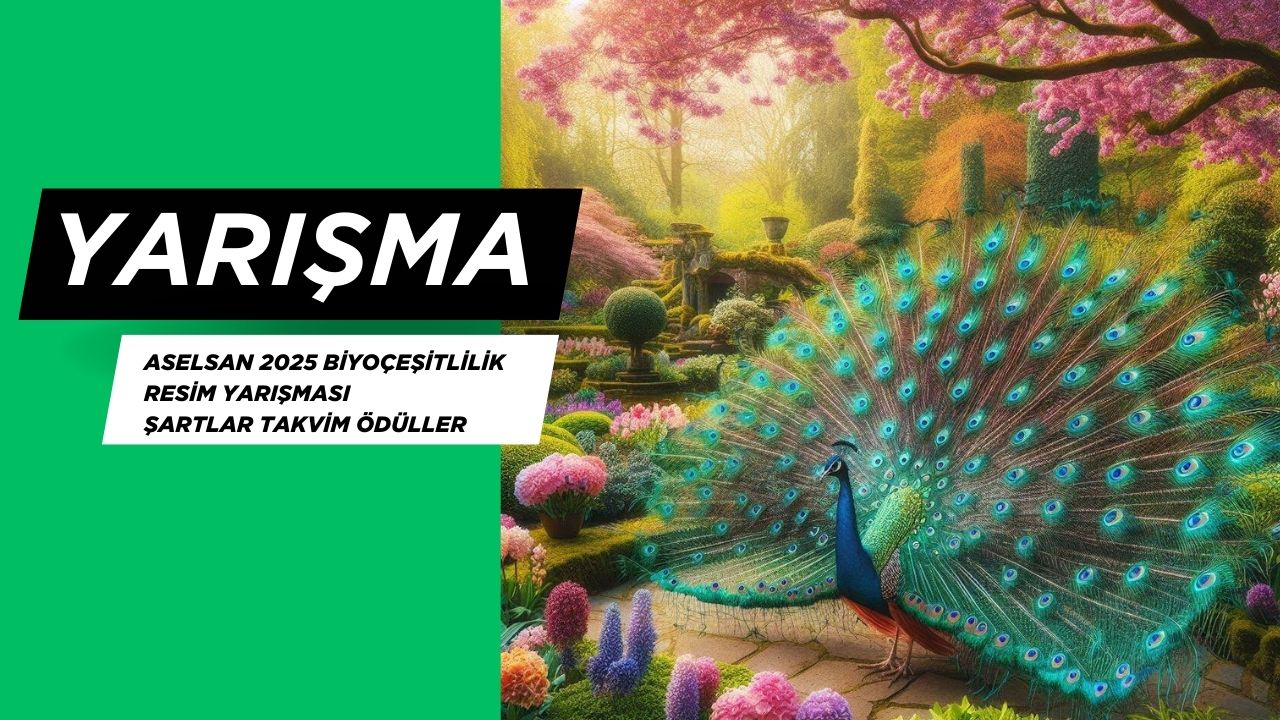 ASELSAN 2025 Biyoçeşitlilik Resim Yarışması Şartlar Takvim Ödüller