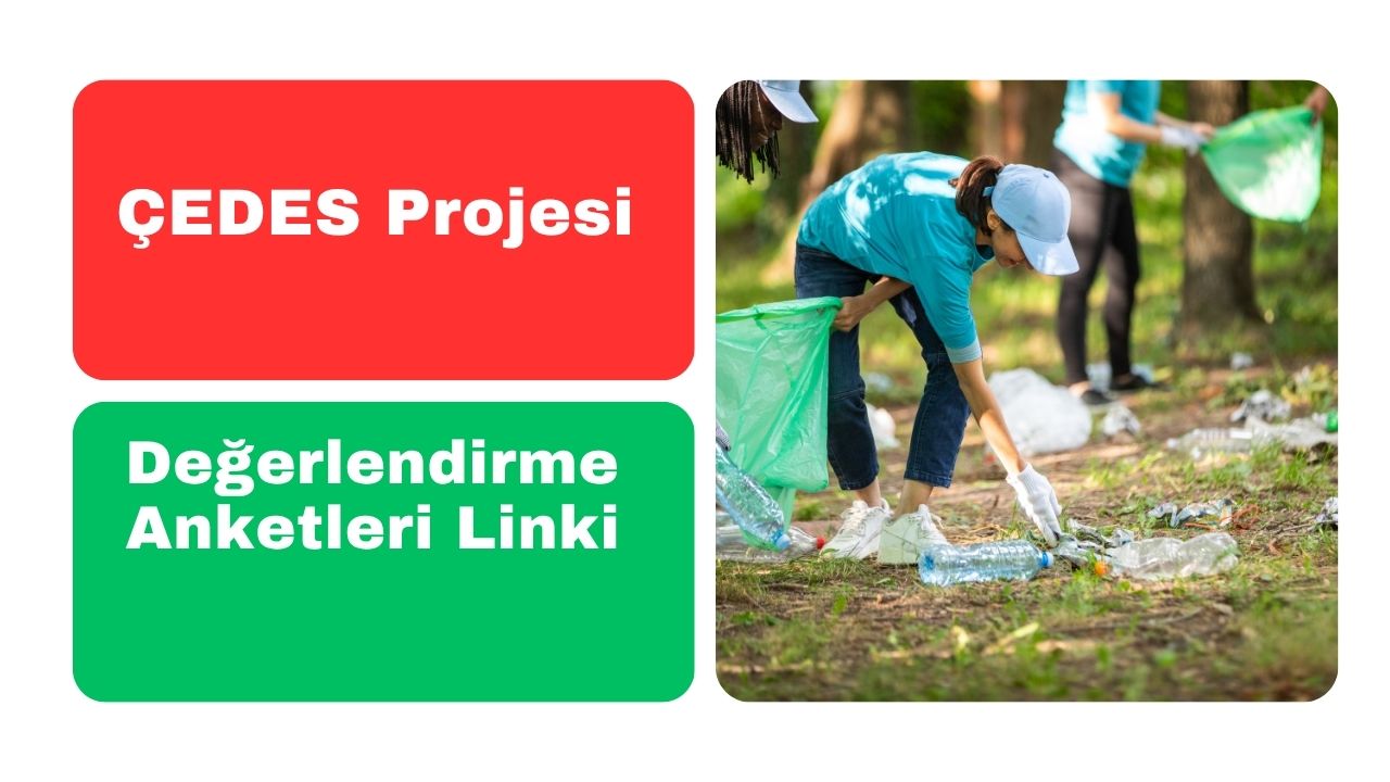 ÇEDES Projesi Değerlendirme Anketleri Linki açıldı