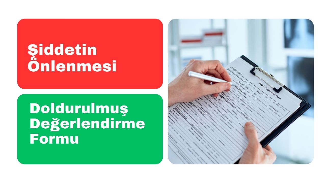 Şiddetin Önlenmesi Doldurulmuş Değerlendirme Formu Örneği