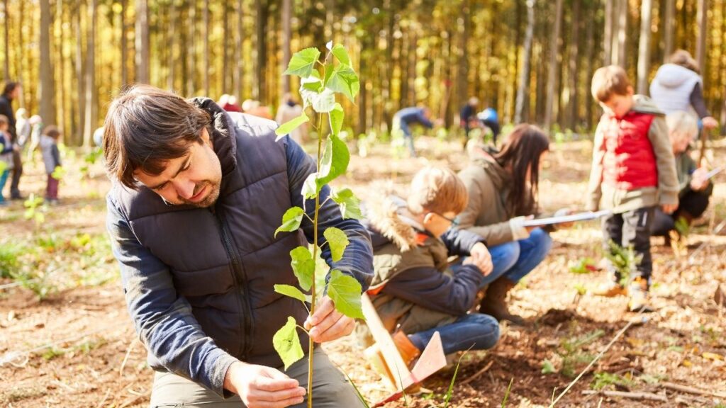 Orman Yangınlarına Karşı Yeşil Vatan Okul Etkinlik Örnekleri