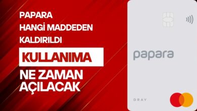 Papara Hangi Maddeden Kapatıldı, Ne Zaman Kullanıma Açılacak?