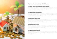 Yeşil Vatan Temalı Aralık Ayı Etkinlik Raporu