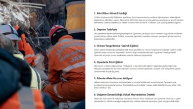 Yeşil Vatan Temalı Ekim Ayı Etkinlik Örnekleri Raporu
