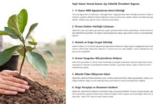 Yeşil Vatan Temalı Kasım Ayı Etkinlik Örnekleri Raporu