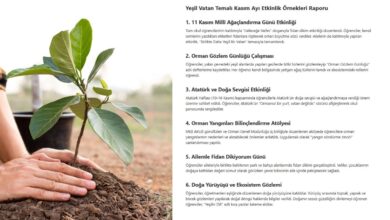 Yeşil Vatan Temalı Kasım Ayı Etkinlik Örnekleri Raporu