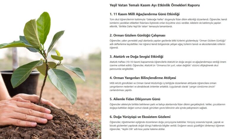 Yeşil Vatan Temalı Kasım Ayı Etkinlik Örnekleri Raporu