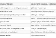Yaşam Becerileri Gözlem Formu Doldurulmuş Tablo Kısa Versiyon