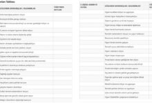 Yaşam Becerileri Gözlem Formu Doldurulmuş Tablo Uzun Versiyon 