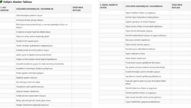 Yaşam Becerileri Gözlem Formu Doldurulmuş Tablo Uzun Versiyon 