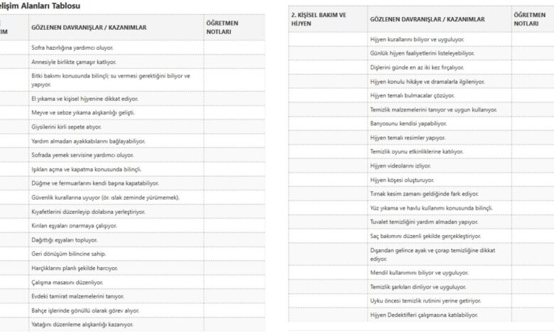 Yaşam Becerileri Gözlem Formu Doldurulmuş Tablo Uzun Versiyon